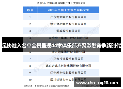 足协准入名单全景呈现44家俱乐部齐聚激烈竞争新时代 足协准入名单全景呈现44家俱乐部齐聚激烈竞争新时代
