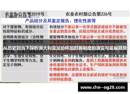从历史到当下探析澳大利亚足协杯加时赛制度的演变与发展趋势