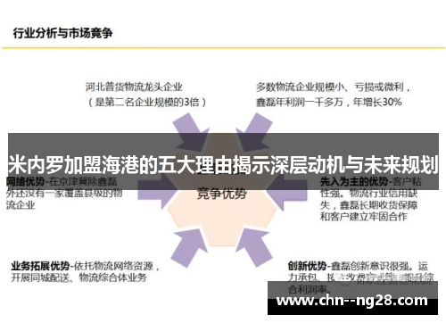 米内罗加盟海港的五大理由揭示深层动机与未来规划
