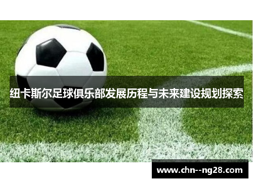 纽卡斯尔足球俱乐部发展历程与未来建设规划探索