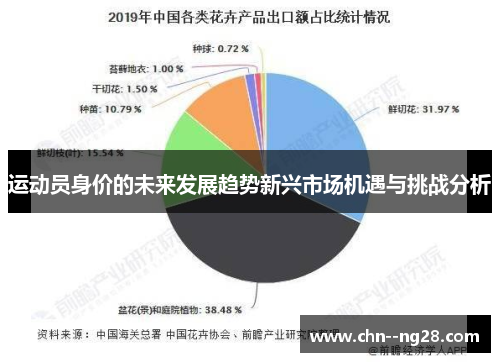 运动员身价的未来发展趋势新兴市场机遇与挑战分析